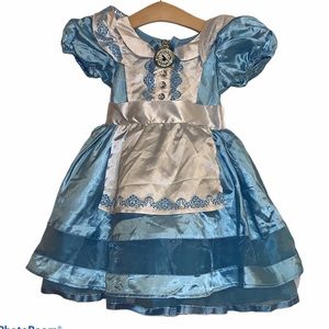 Disney 3 Alice in Wonderland costume